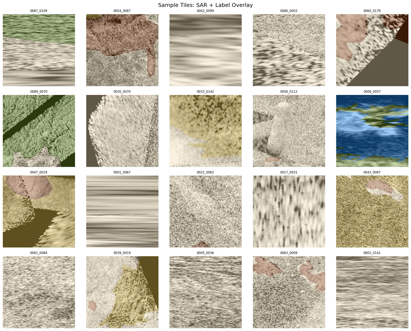 Twenty radar tiles with the Lopes map label drawn over each